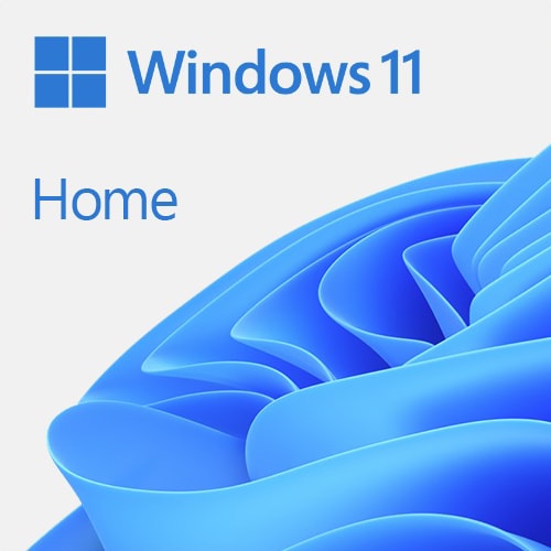 Windows 11